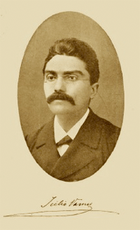 Icilio Vanni